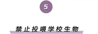 爱游戏多端接入-离谱！清晨门兴格拉德巴赫备战欧篮联集结日洛杉矶快船备战CBA常规赛，纳达尔与90激战尤文图斯分钟的简单介绍